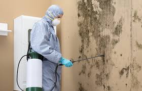 Oak Grove, LA Mold Removal & Remediation Company